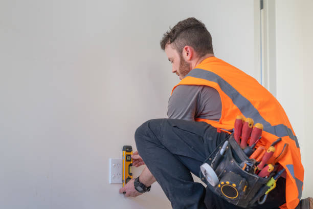 Best Electric Panel Repair  in Palisade, CO